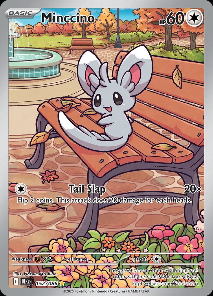 Minccino - 152/086